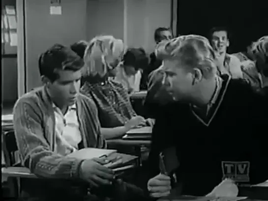 Три моих сына  / My Three Sons, (1960–1972) сезон 2 серия 23  / S02E23