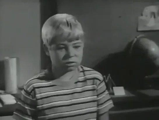 Три моих сына  / My Three Sons, (1960–1972) сезон 2 серия 21 / S02E21