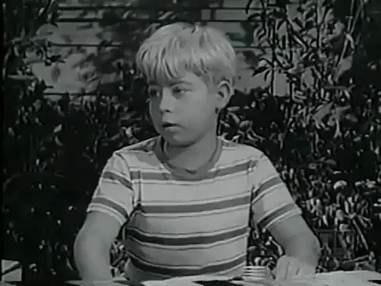 Три моих сына  / My Three Sons, (1960–1972) сезон 2 серия 20 / S02E20