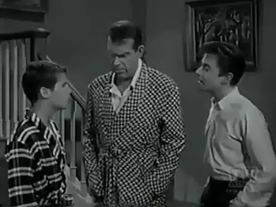 Три моих сына  / My Three Sons, (1960–1972) сезон 2 серия 13 / S02E13