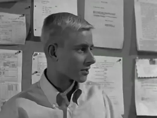 Три моих сына  / My Three Sons, (1960–1972) сезон 1 серия 29 / S01E29