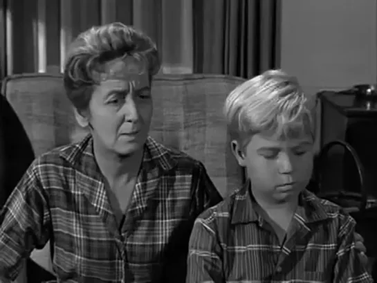 Три моих сына  / My Three Sons, (1960–1972) сезон 1 серия 16 / S01E16