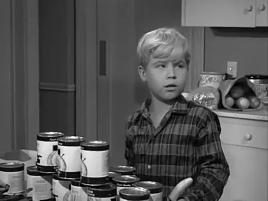 Три моих сына  / My Three Sons, (1960–1972) сезон 1 серия 13 / S01E13