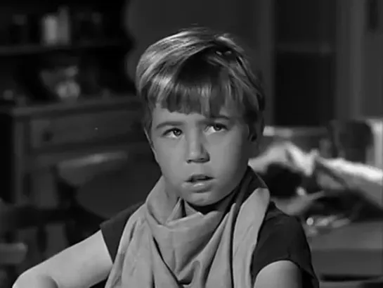 Три моих сына  / My Three Sons, (1960–1972) сезон 1 серия 1 / S01E01