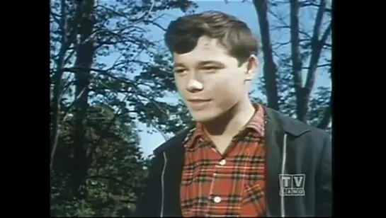 The Forest Rangers (1963 - 1966 Канада) сезон 3 серия 12 / s03e12