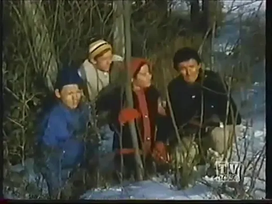 The Forest Rangers (1963 - 1966 Канада) сезон 3 серия 3 / s03e03