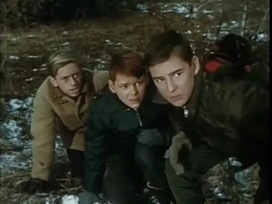 The Forest Rangers (1963 - 1966 Канада) сезон 1 серия 35 / s01e35