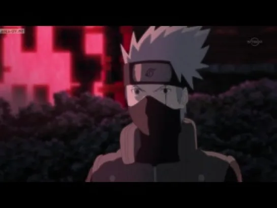 NARUTO Shippuuden 295