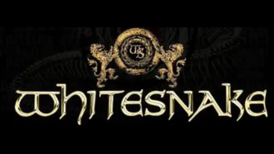 The Whitesnake - Dont Fade Away