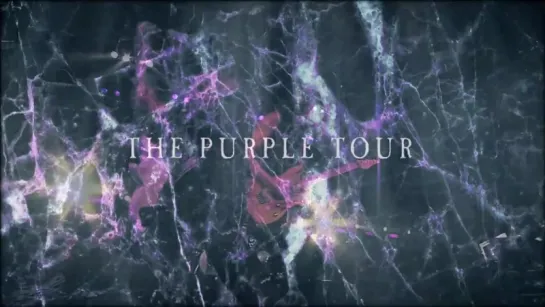 Whitesnake - The Gypsy (Official Video) - The Purple Tour 2015