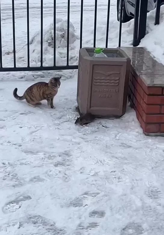 Видео от Валерия Перескокова