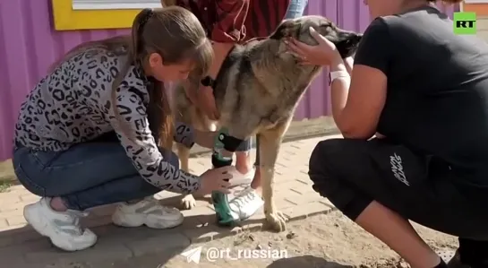 Видео от Валерия Перескокова