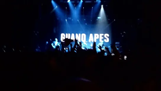 Guano Apes 16/11/2019