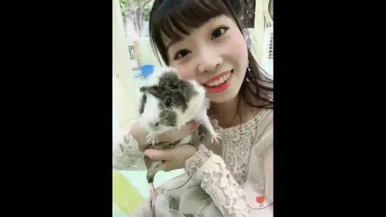 モルモットちゃん_hamster_かわいいなぁ_heart_️_癒し_sparkles__sparkles__sparkles___- 江戸川自然動物園 - モルモット https___t.co_1ux6BM9p6J ( 640 X 474 )