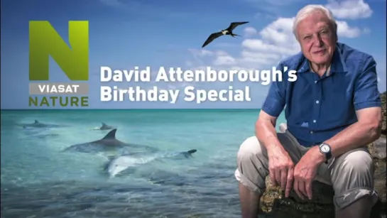 David Attenborough's Birthday Special