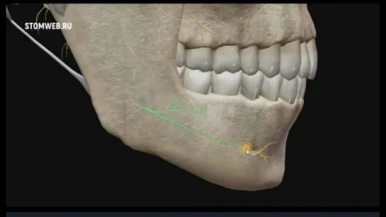 Тройничный нерв. 3D анимация. На Русском языке.