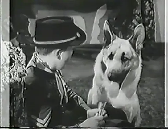 Приключения Рин Тин Тина / The Adventures of Rin Tin Tin (1954–1959 США) сезон 3 серия 2 / S03E02