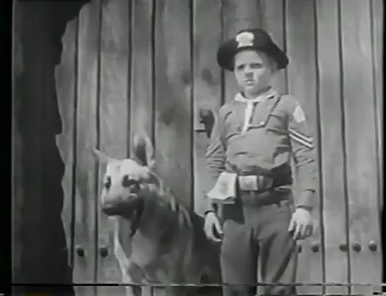 Приключения Рин Тин Тина / The Adventures of Rin Tin Tin (1954–1959 США) сезон 1 серия 14 / S01E14