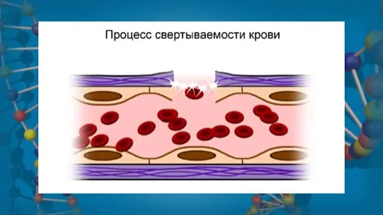 Биология. 8 класс. Урок 26. Внутренняя среда организма. Состав и функции крови.