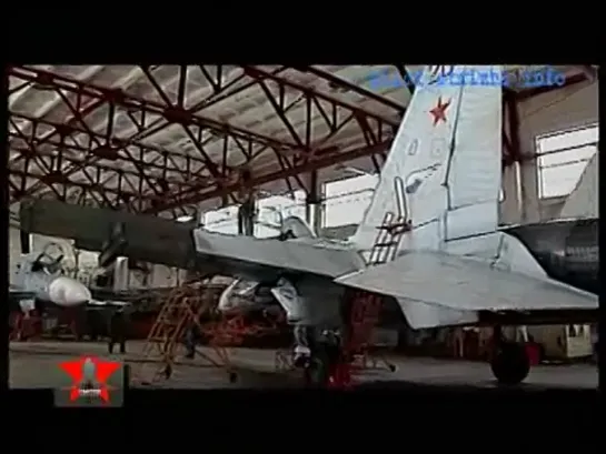 Программа "Смотр". Посадка аварийного Су - 27 УБ