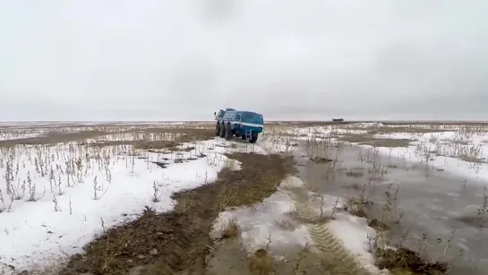 Год на орбите. Возвращение домой _ A Year In Space. Return To The Earth