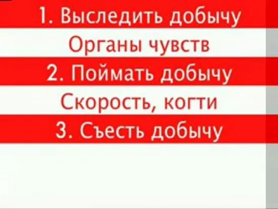 Отличное здоровье до 150 лет, инструкция к правильному использованию организма человека