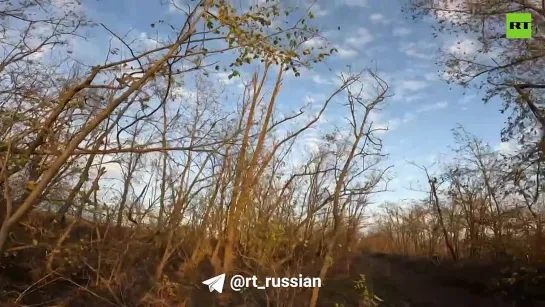 Видео от Сводки от ополчения Новороссии