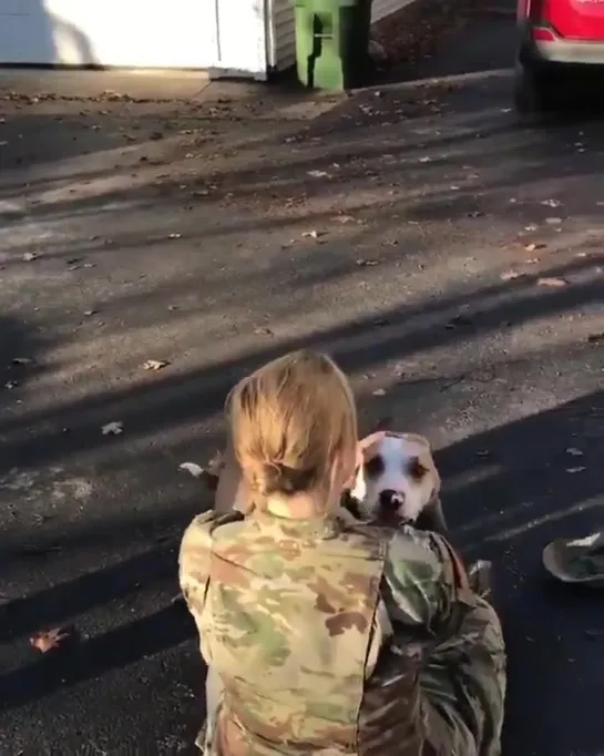 Собачка сначала не узнала свою хозяйку, которая вернулась домой спустя 5 лет, а потом узнала [NR]