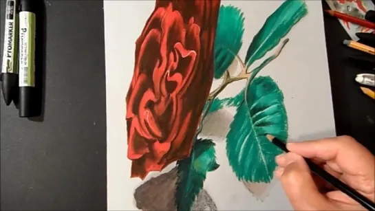 Drawing a 3D Red Rose, Time Lapse