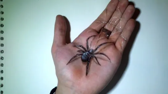 Hand Art 3D, Hideous Spider Drawing!