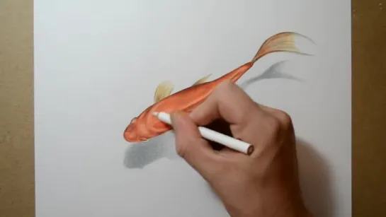 How to Draw a Goldfish - 3D Art Drawing