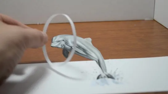 Trick Art, Drawing a Dolphin, Anamorphic Illusion