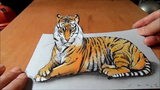 Trick Art, Watch my Draw a 3D Tiger, Amazing Animal