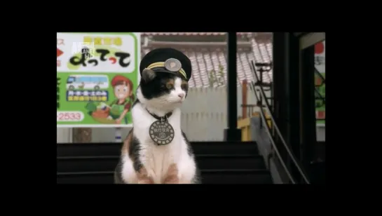 Tama the Cat / Кошка Тама - Must Love Cats / Кошек не любить нельзя - Cat Crazy in Japan (Animal Planet, 2012)