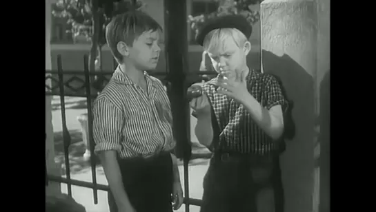 Приключения Толи Клюквина (1964)