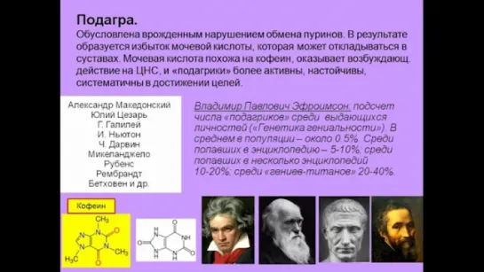 «Химия» мозга — 10. Дубынин В.А. Видеоархив МГУ имени М.В.Ломоносова _ Биофак. 2.2016