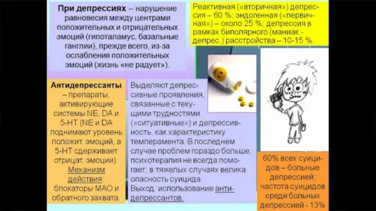 «Химия» мозга — 8. Дубынин В.А. Видеоархив МГУ имени М.В.Ломоносова _ Биофак. 06.2016