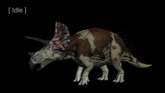 Triceratops animation