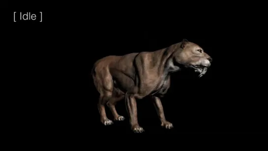 Smilodon animation