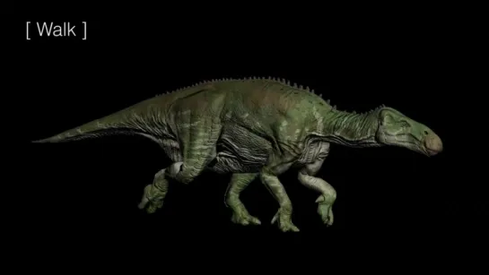 Iguanodon - анимация.от Jin Kyeom Kim (ник VITAMIN IMAGINATION) из Южной Кореи. 3D-модельер, аниматор