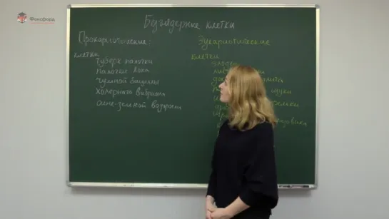 4/ Биология. Разбор олимпиадных задач. Задача «Безъядерные клетки» Н.Левина.