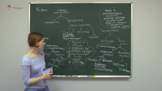 Биология. Разбор олимпиадных задач. Задача «Родня»