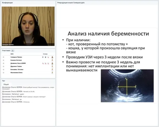 «Репродукция кошек для заводчиков» Лектор - Лиляна Сапицкая