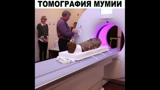 Томография мумии.