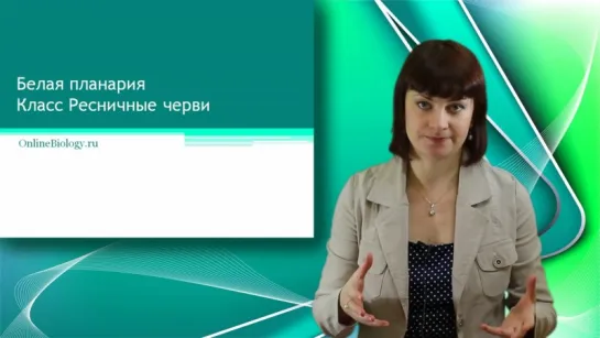 13. Белая планария. Онлайн подготовка к ЕГЭ по Биологии.