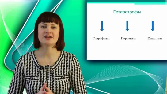 3.Простейшие или одноклеточные. Онлайн подготовка к ЕГЭ по Биологии.