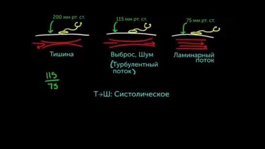 12. Узнайте, как стетоскоп может помочь определить кровяное давление