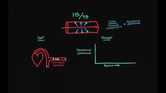 11. Что такое кровяное давление؟