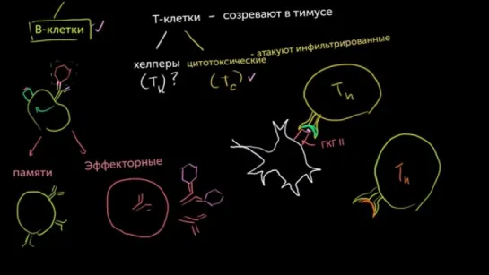 Т-хелперы.