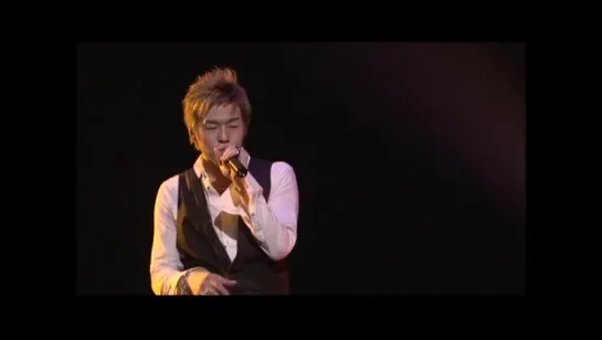 HOME MADE Kazoku - Heartful Tour 2008 ~Thank You~!! (Special DVD, 2008)